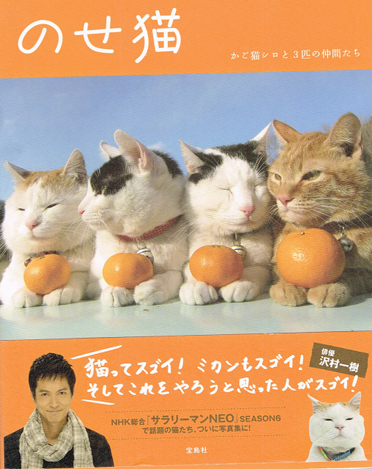 のせ猫 写真集 帯付き 猫本サロン 京都三条サクラヤ