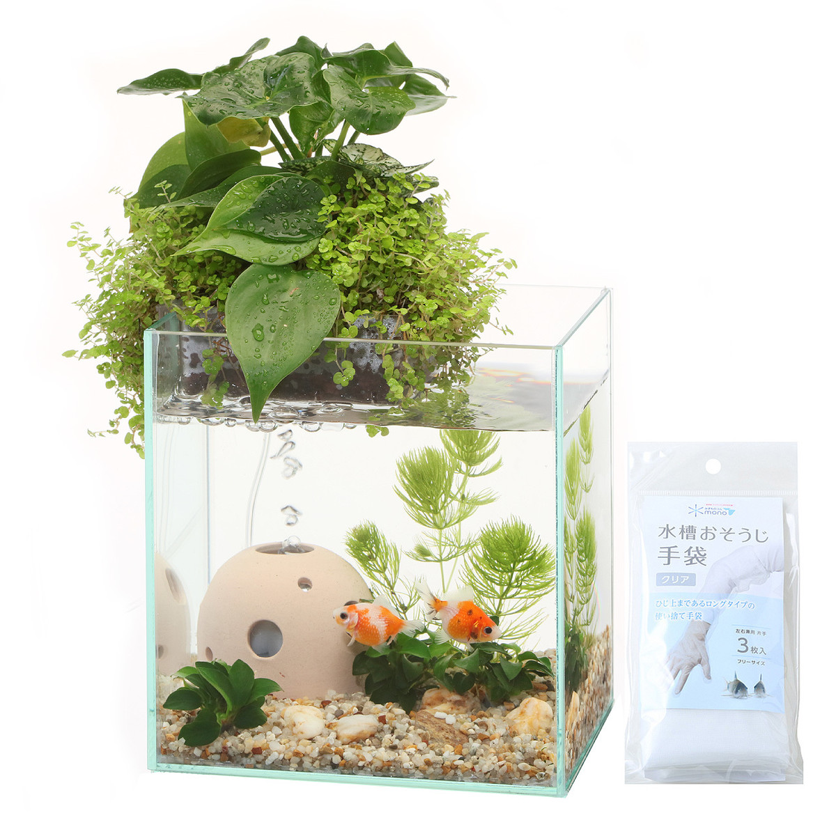 アクアテリア N160 金魚用 ガラス水槽と水耕栽培プランターのセット 水槽おそうじ手袋プレゼント みずものコム オンラインショップ