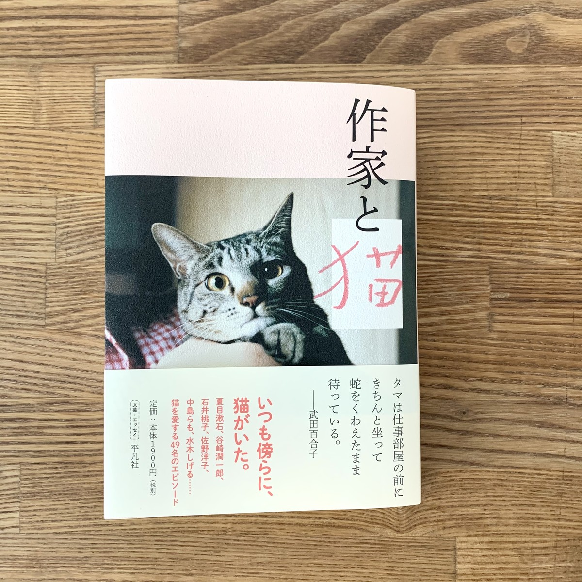 新品 作家と猫 平凡社 Nenoi