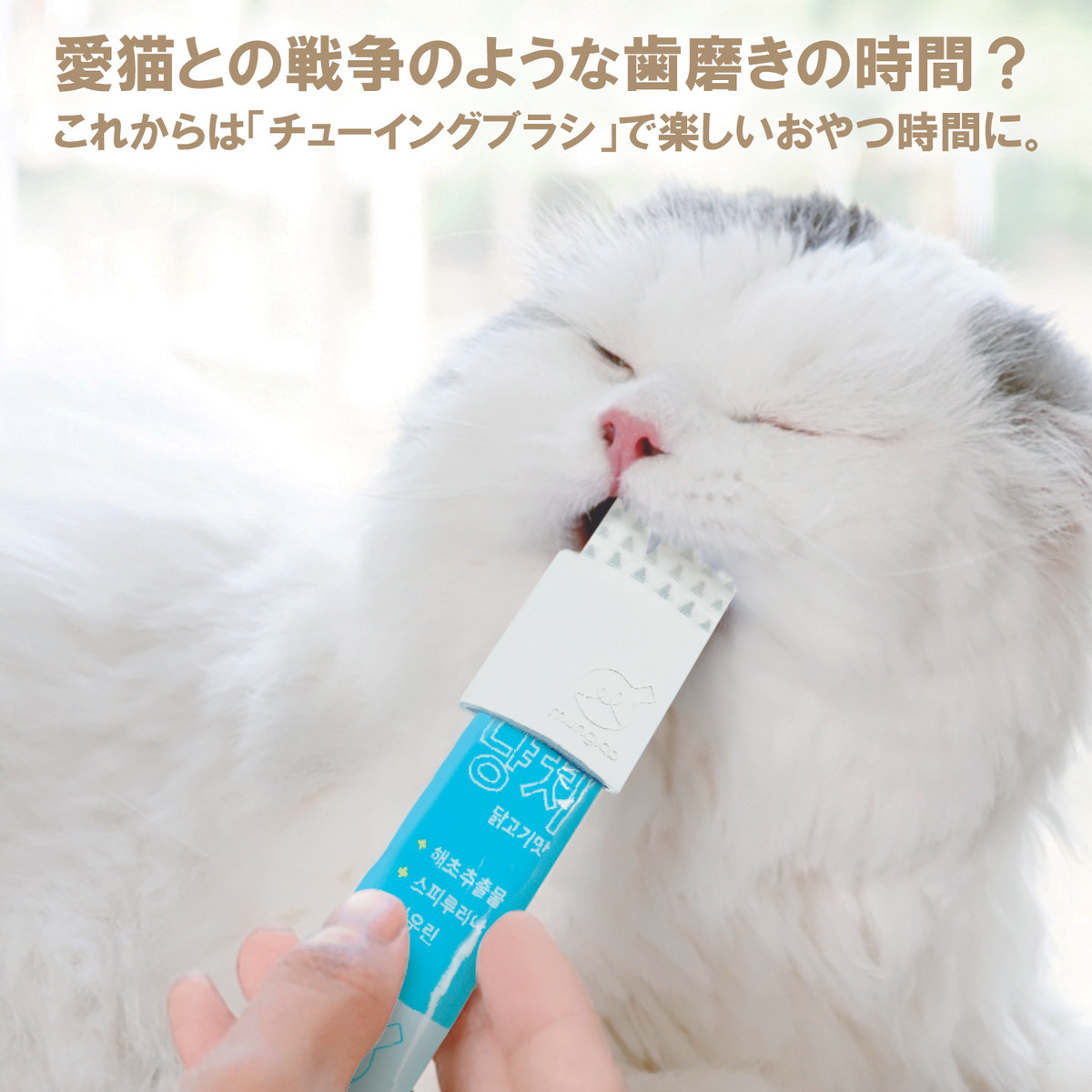 一日3分 片手で簡単に 愛猫の歯磨き チューイングブラシ Singjung Trade Shop