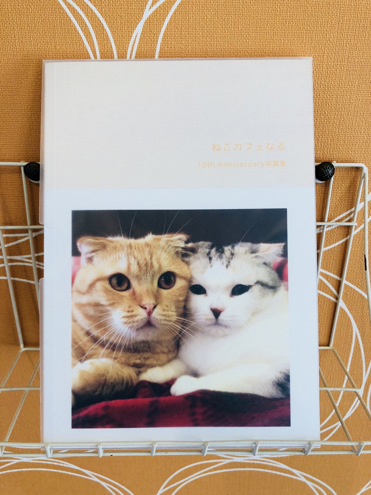 ねこカフェなる10th Anniversary写真集 ねこカフェなる 長野の猫カフェ リニューアル