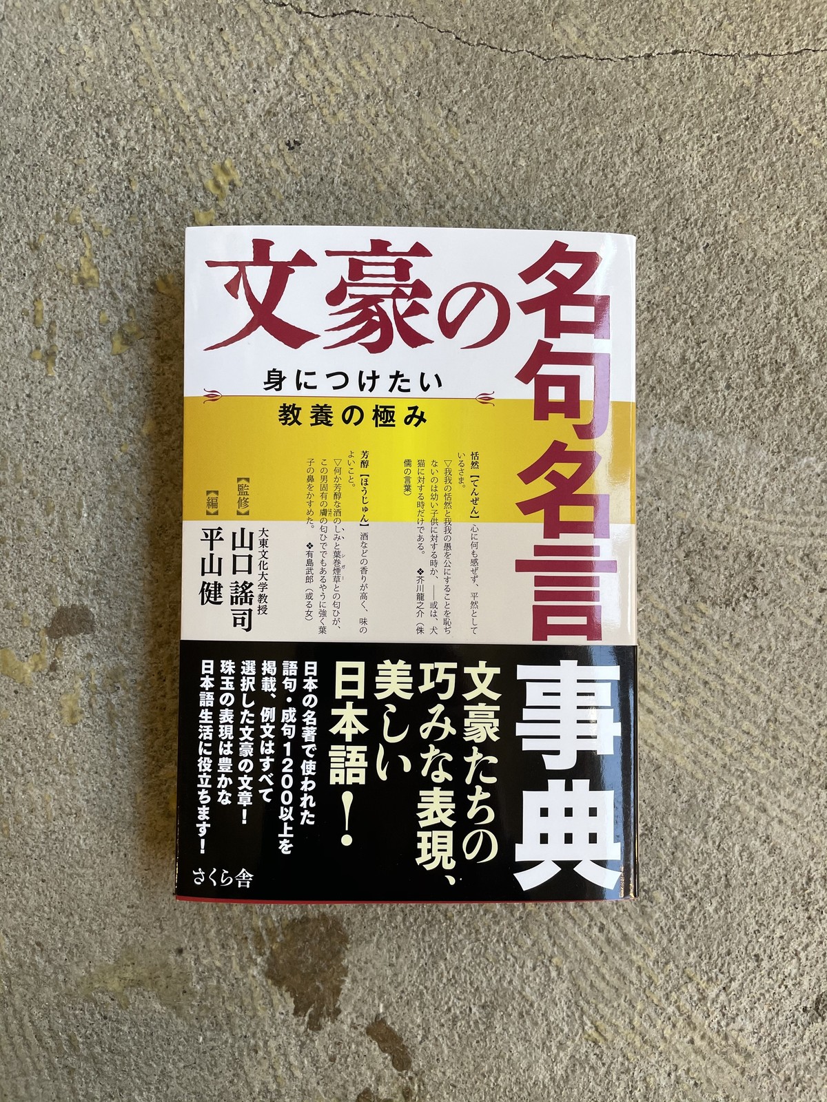 文豪の名句名言事典 Standard Bookstore