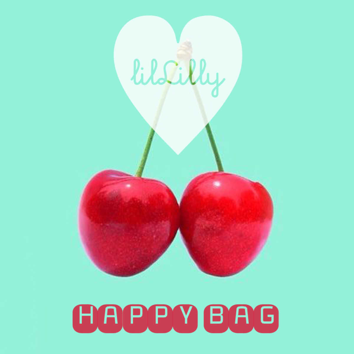 Happy Bag 21 販売開始 Lillilly Official Blog