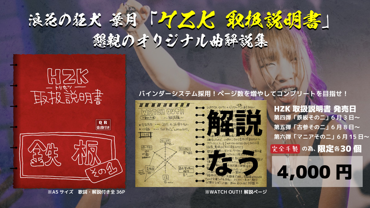 葉月 取扱説明書 マニアその二 葉月曲解説集 限定30冊 Funnyboxx Net