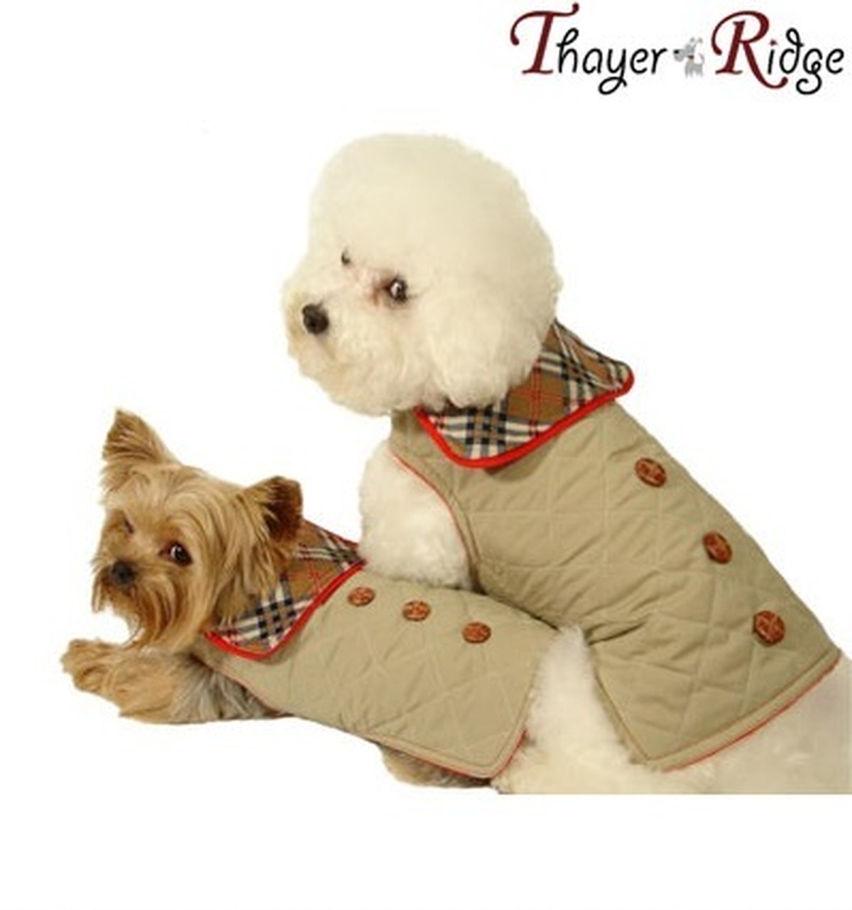 犬服 ドッグウェア Thayer Ridge タイヤー リッヂ City Slicker Coat バーバリー風コート 小型犬 ドッグウェア グッズショップ Bow Wow