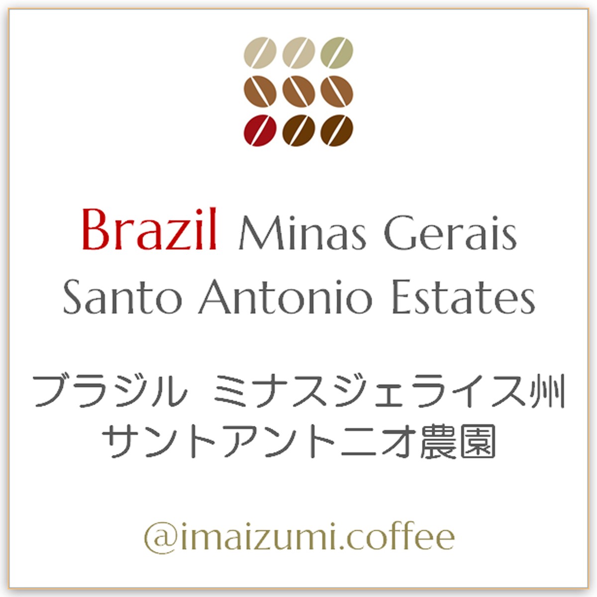 送料込 ブラジル ミナスジェライス州 サントアントニオ農園 Brazil Minas Gerais Santo Antonio Estates 300g 100g 3 今和泉珈琲焙煎 Imaizumi Coffee スペシャルティコーヒー 自家焙煎