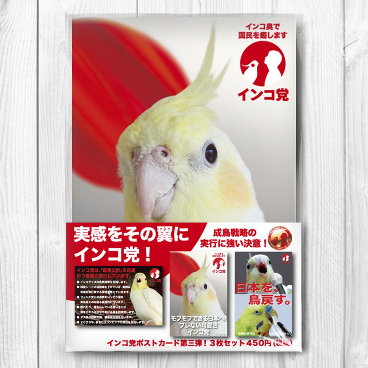 インコ党第三弾 ポストカード３枚セット Tomoyamashita Design