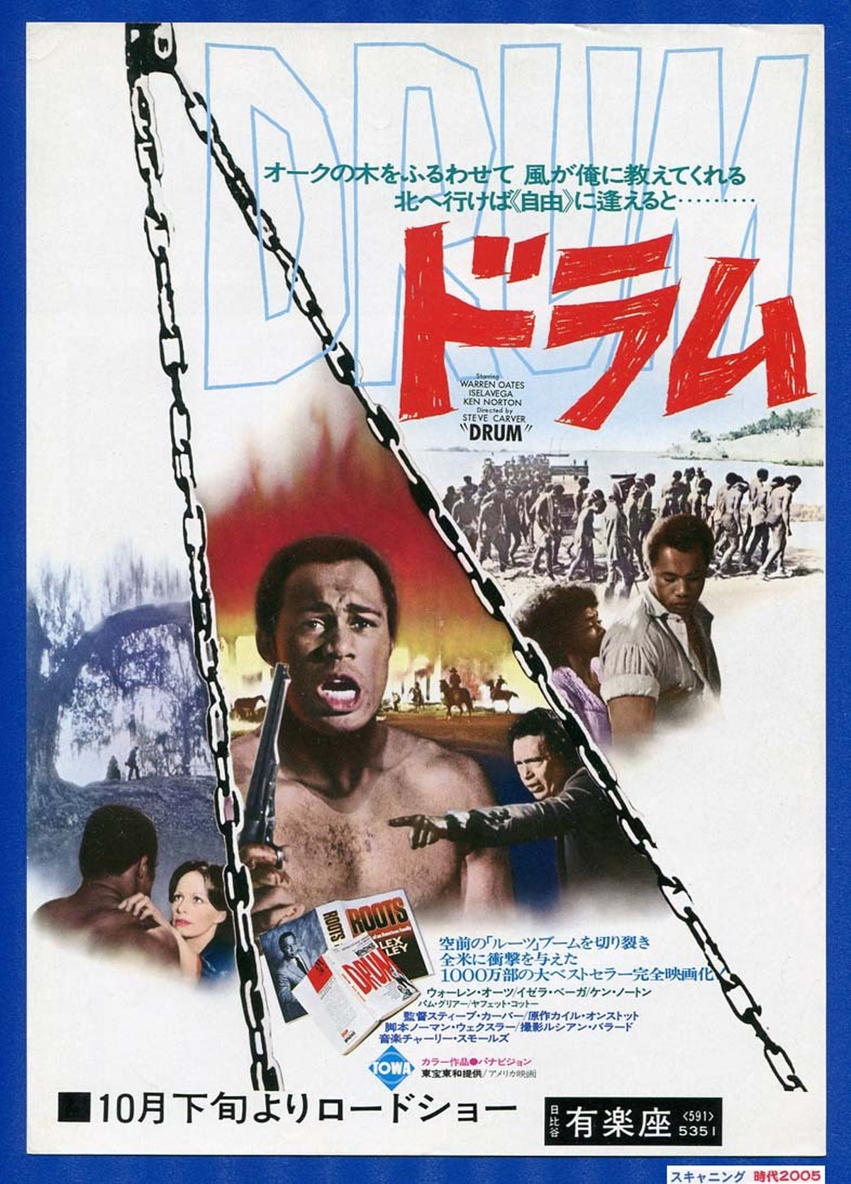 2a ドラム 映画チラシ販売 大辞典