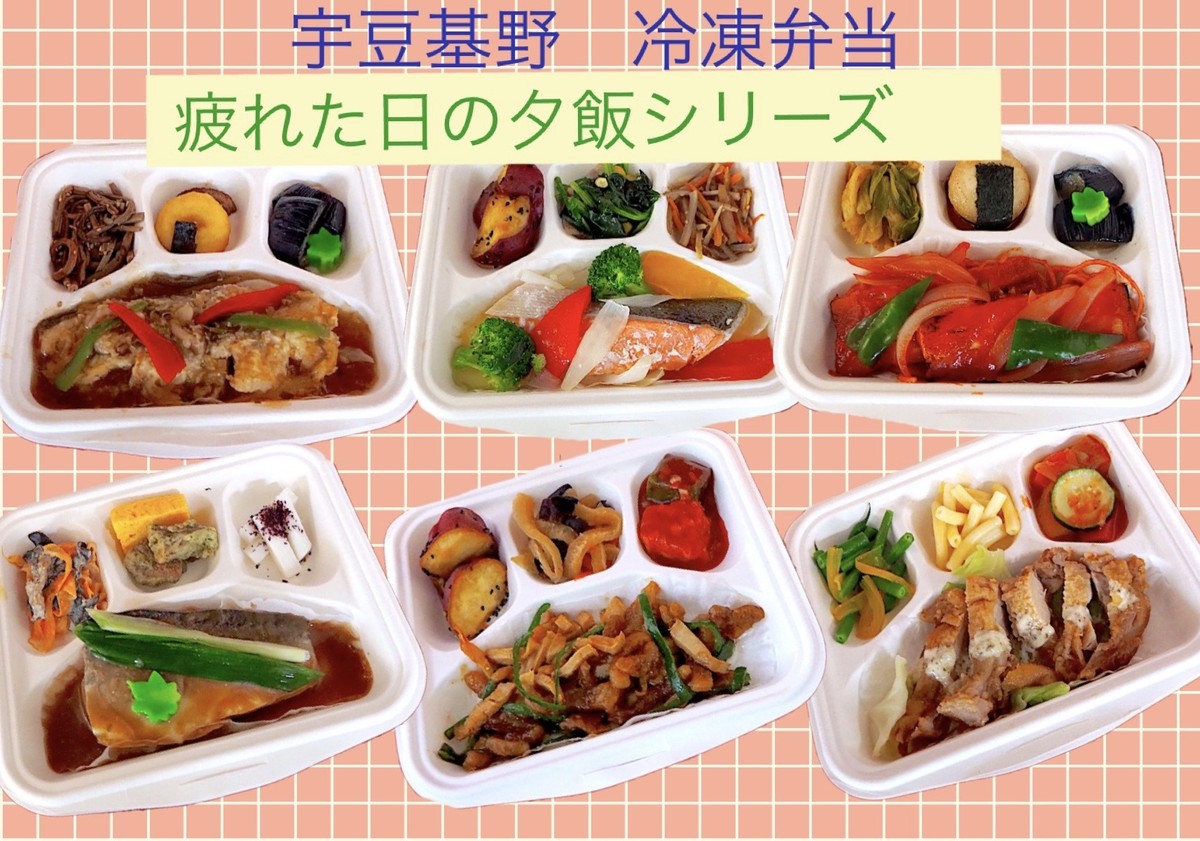 疲れたあなたをお助け 冷凍弁当6種セット 疲れた日の夕飯シリーズ 和惣菜 宇豆基野