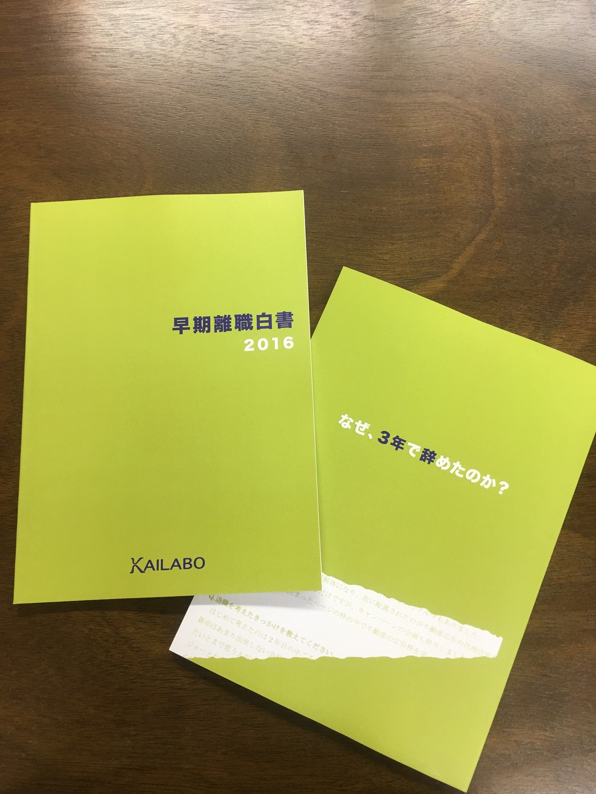 早期離職白書16 Pdf版 カイラボ 早期離職白書