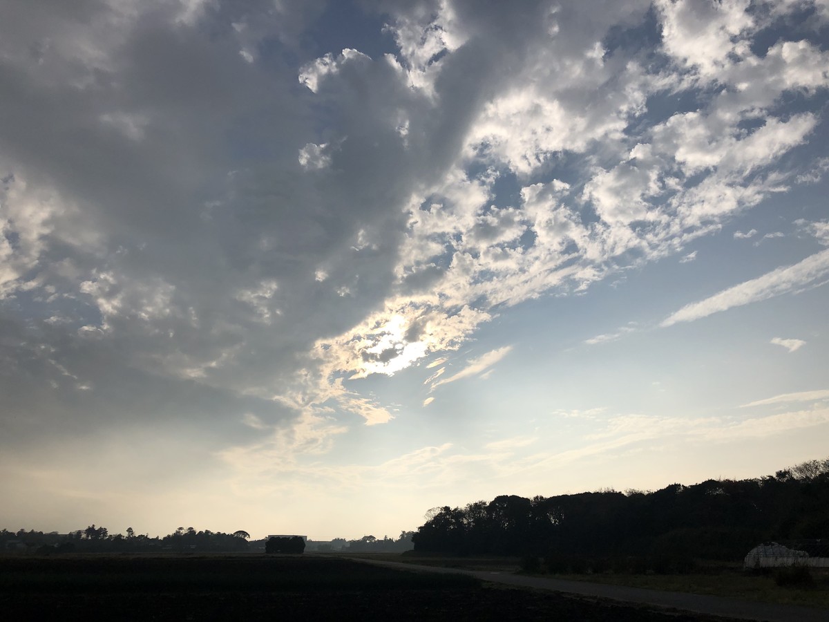ゴールデンレイ26 ヒーリングアチューンメント Blessing Of The Light