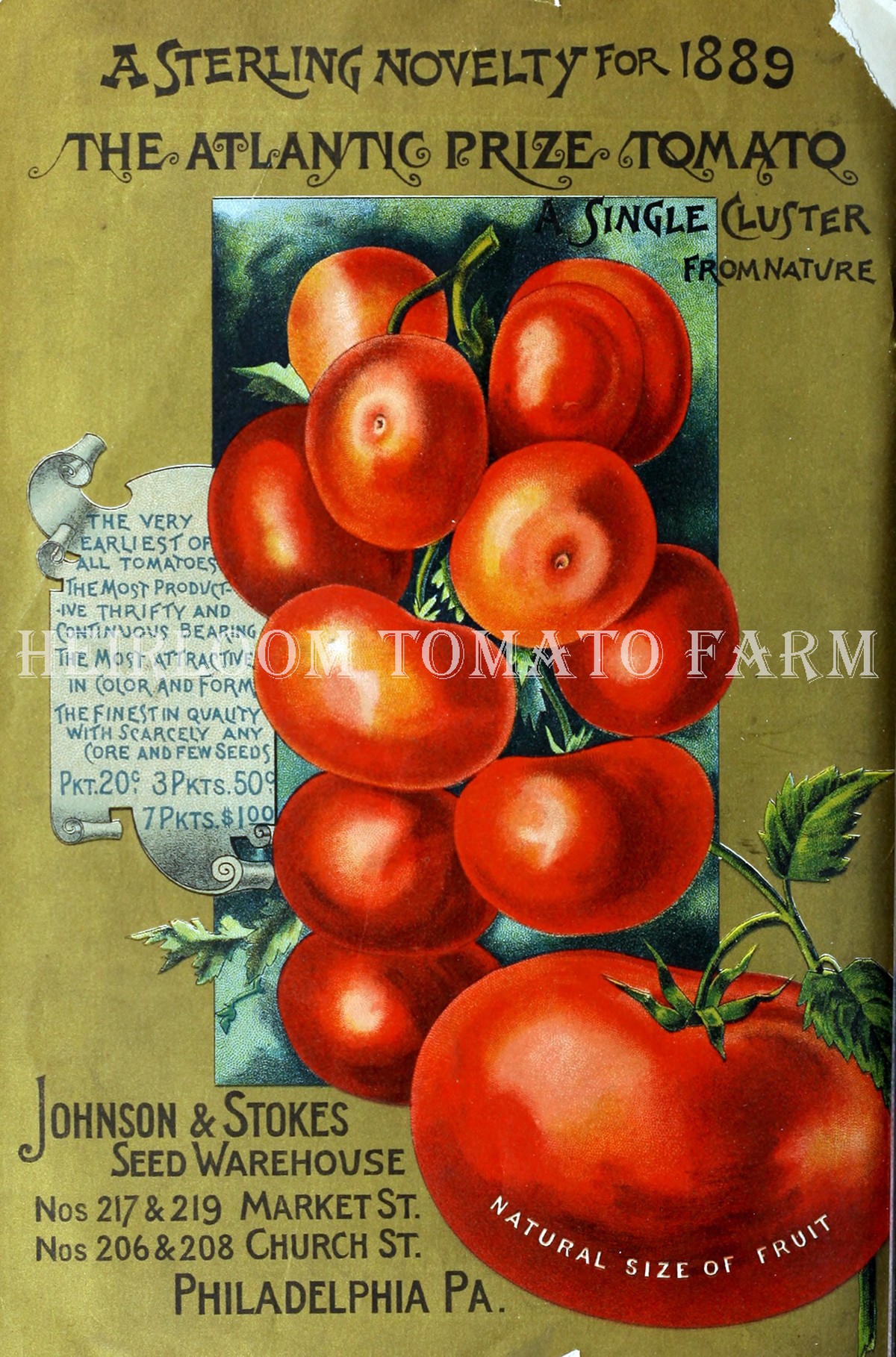 Heirloom Tomato Atlantic Prize エアルーム トマト アトランティック プライズ Heirloom Tomato Farm