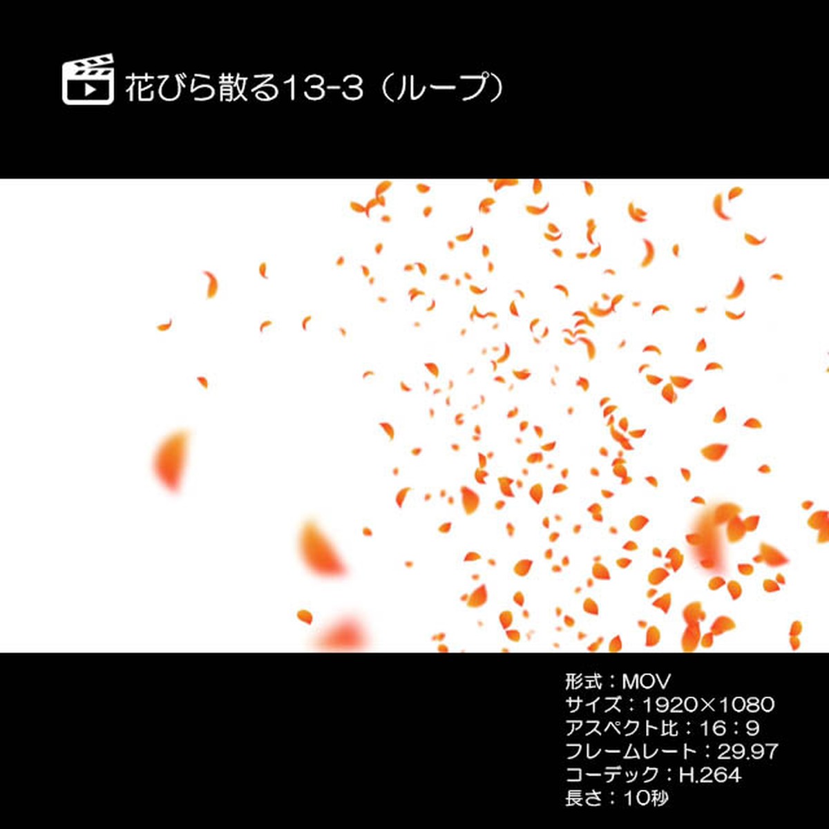 花びら散る 紅葉13 3 ループ 著作権フリーcg映像販売