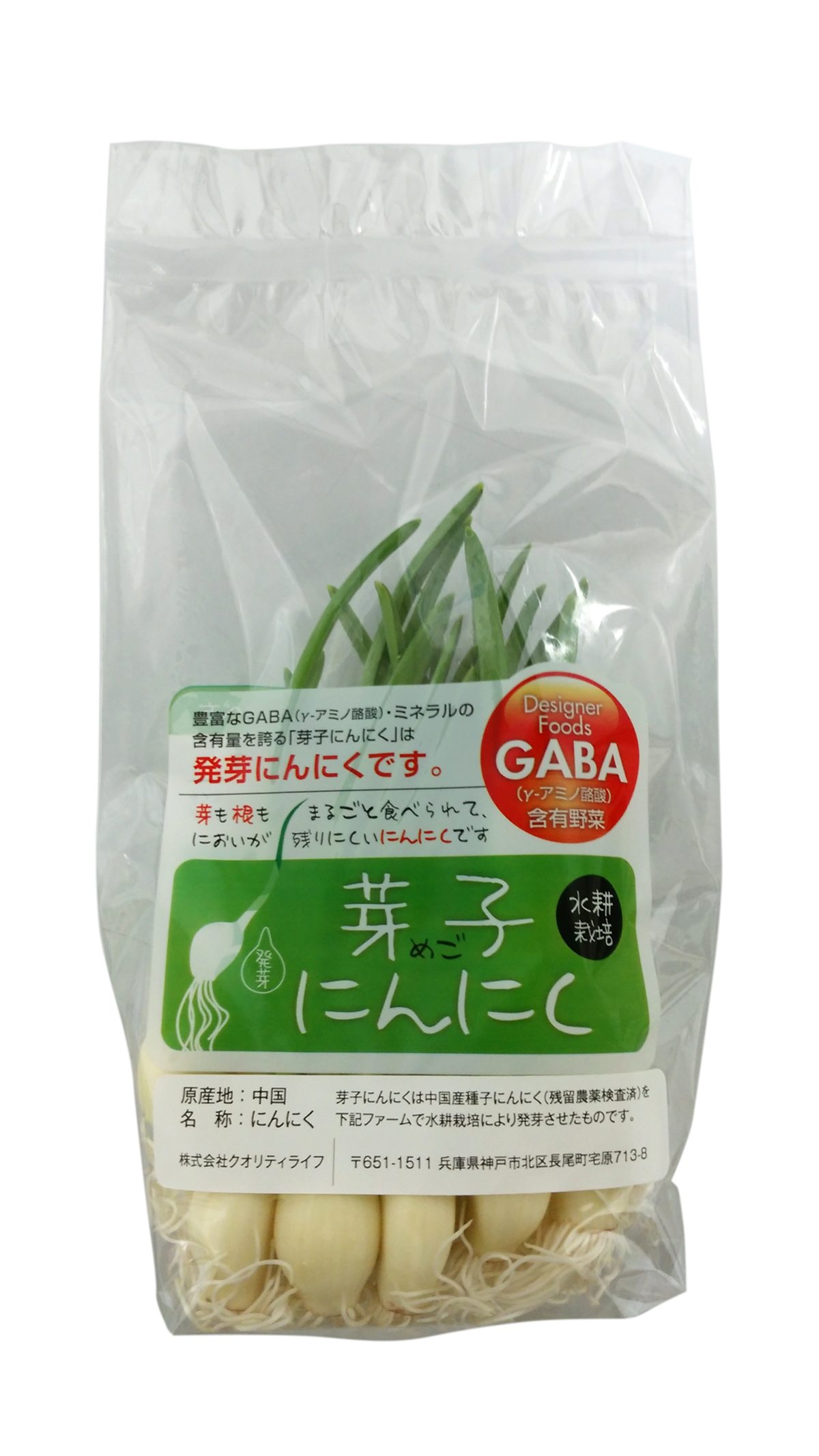 芽子にんにく 10本入り やさいファクトリー