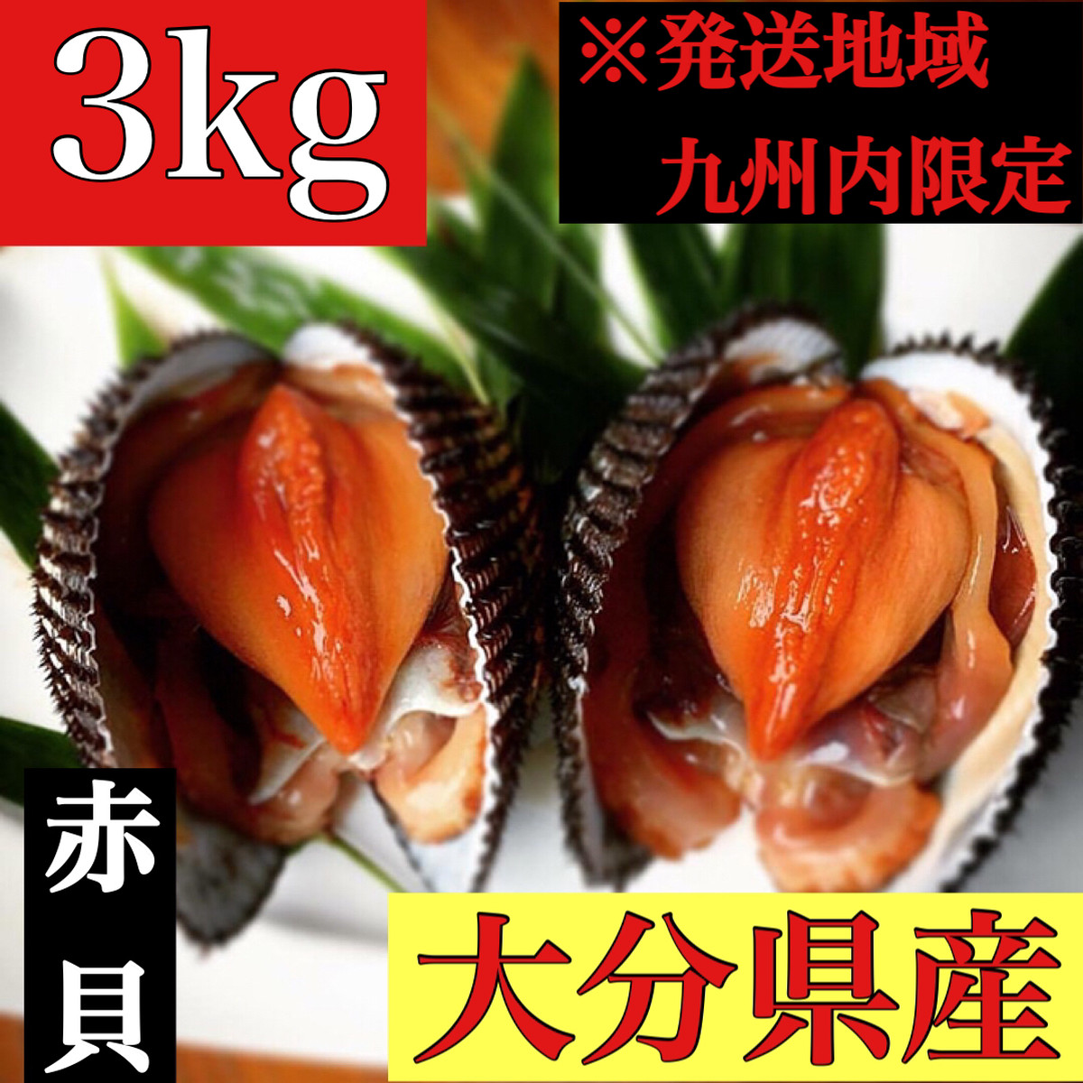 送料無料 大分県産 赤貝3kg Iwataya01