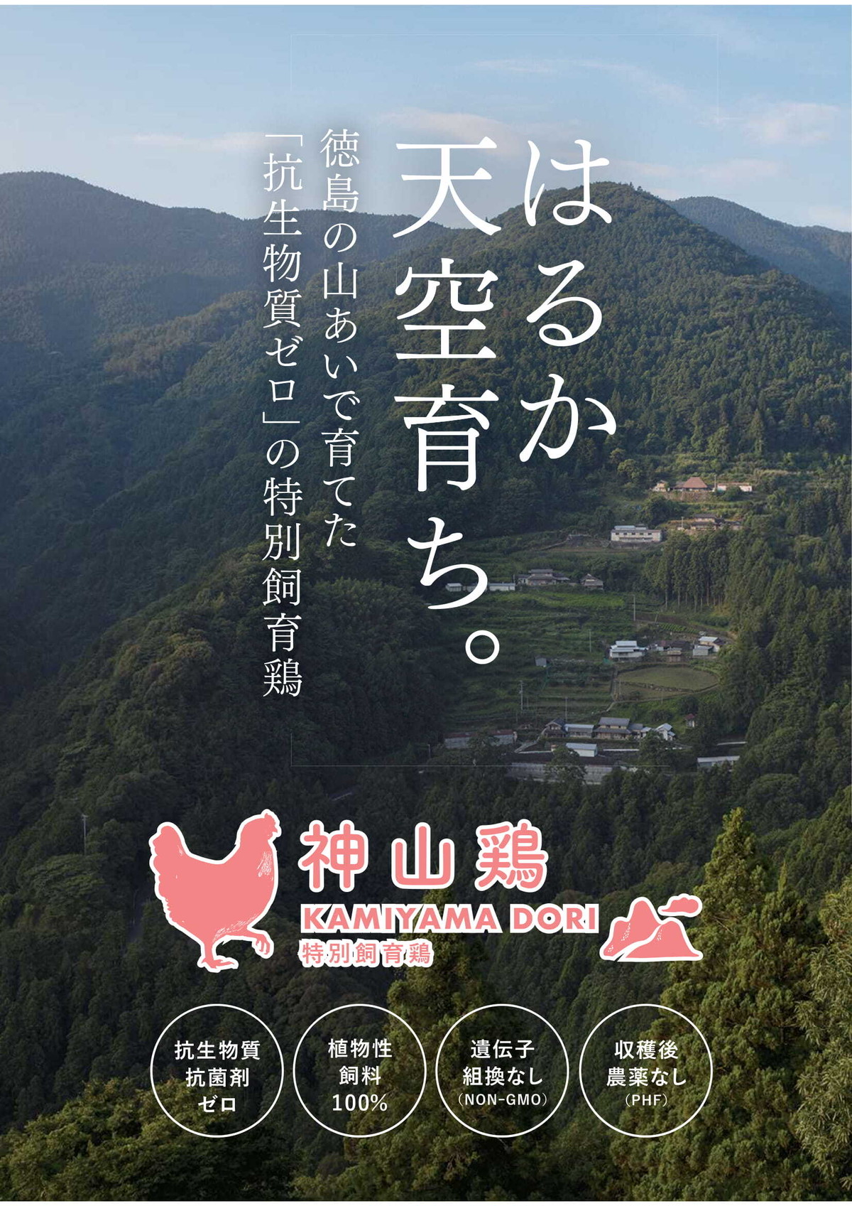 ボーンブロスに神山鶏がら 900 1kg 抗生物質 抗菌剤ゼロ Non Gmo Phf 植物性飼料100 阿波ツクヨミファーム