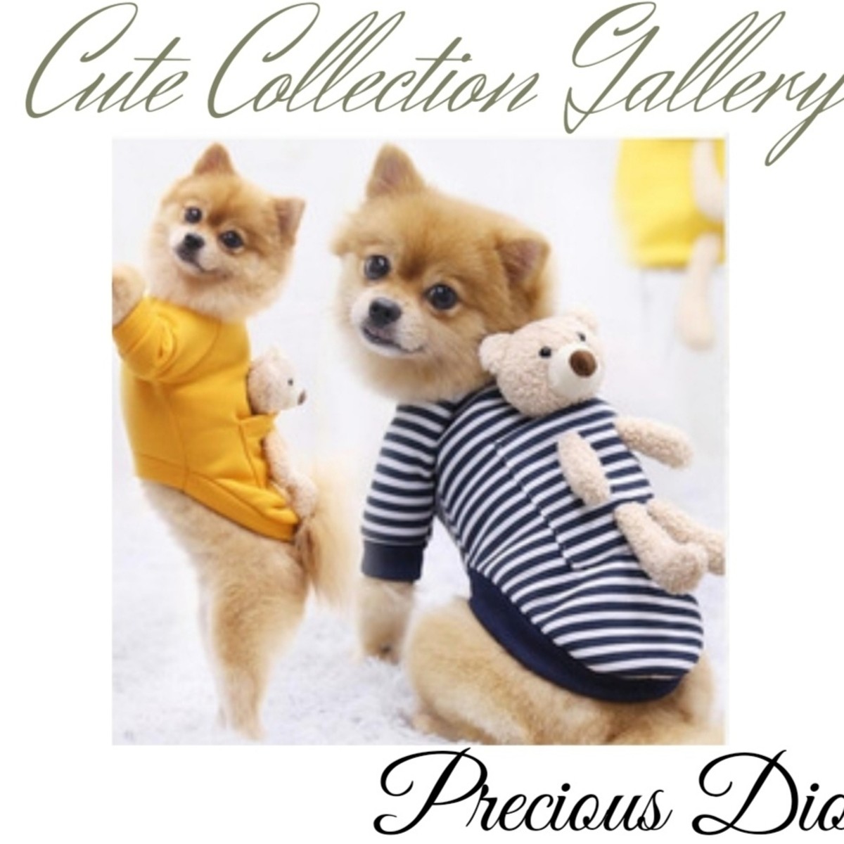 予約販売 可愛いおんぶクマさんボーダートップス 犬用 春服夏服秋服冬服 ペット リボン 犬服 犬グッズ ヘアバンド Xs S M ｌ Xl 撮影用 撮影会 誕生日 ギフト 可愛い 可愛い犬服 ペットアクセサリー おもちゃなど ドッグウェアのお店 Dogwear Precious Dio