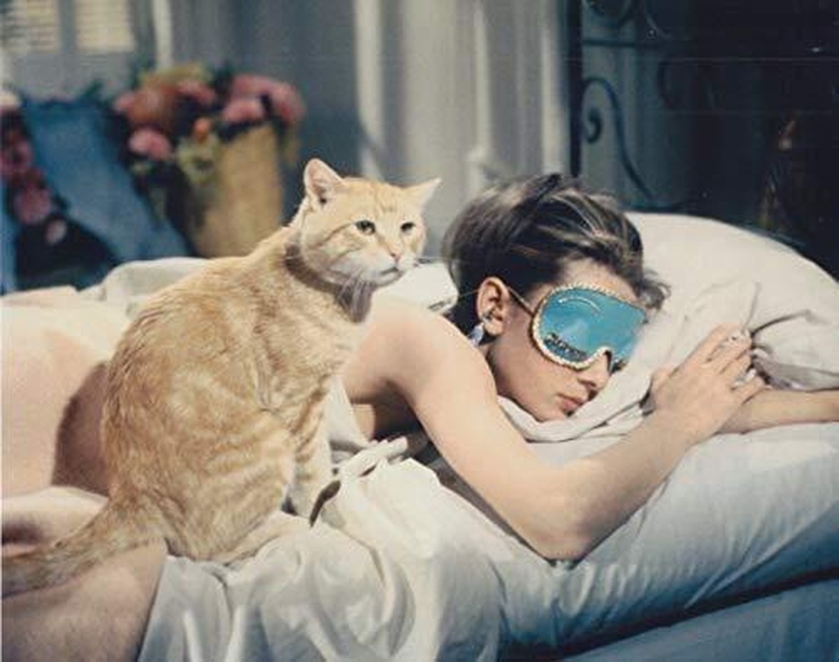 直輸入 大きな写真 ティファニーで朝食を オードリー ヘップバーンと猫 Breakfast At Tiffanys Audrey Hepburn 5236 Movieimages 大分市府内町2 3 天神ビル101 080 42 9150