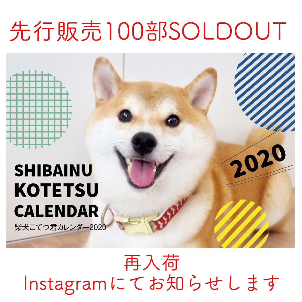 送料無料 一次販売 柴犬こてつ君卓上カレンダー年 16枚セット Shibainu Kotetsu Calendar Asanayuna
