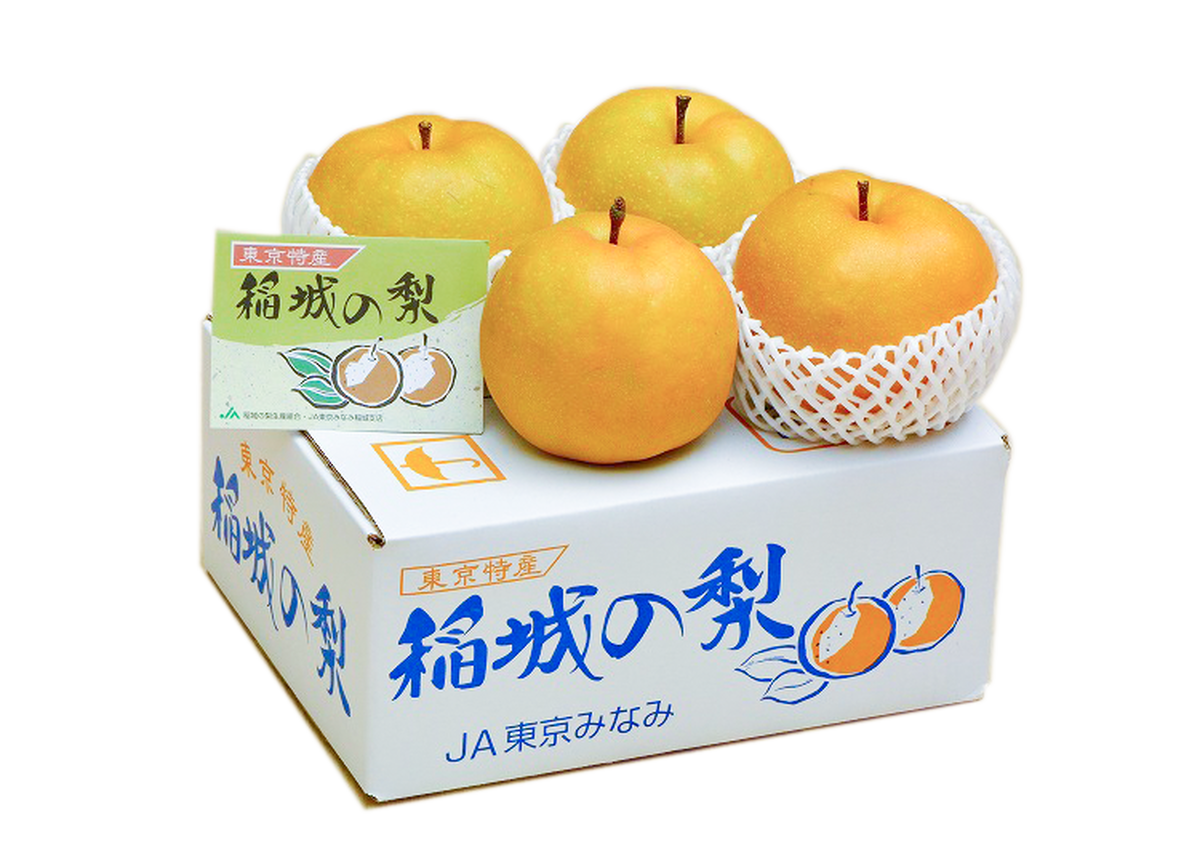 予約販売 In5 幻の梨 稲城梨 特大大玉3個入 松乃園