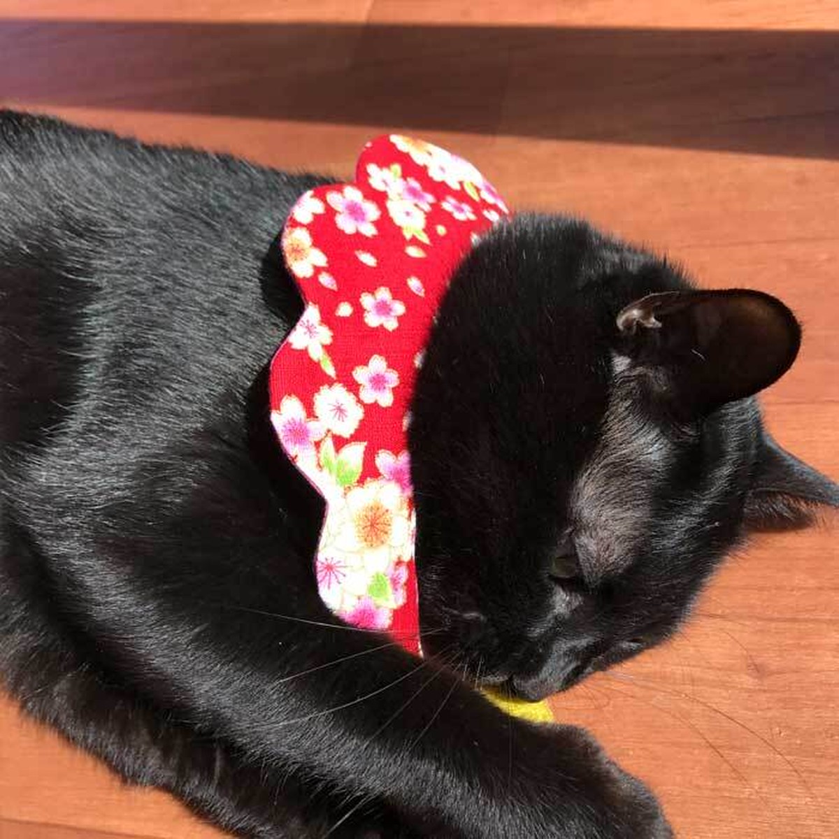 Cat Bib 和柄 桜赤 サクラピンク 猫首輪 スタイ首輪 もくもくキャットスタイ 送料無料 猫グッズの Nyanx Store