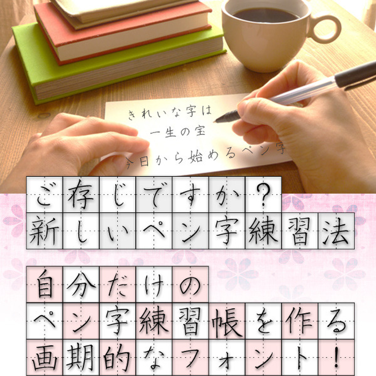 ペン字練習用フォント 3書体セット 文通村の直営店