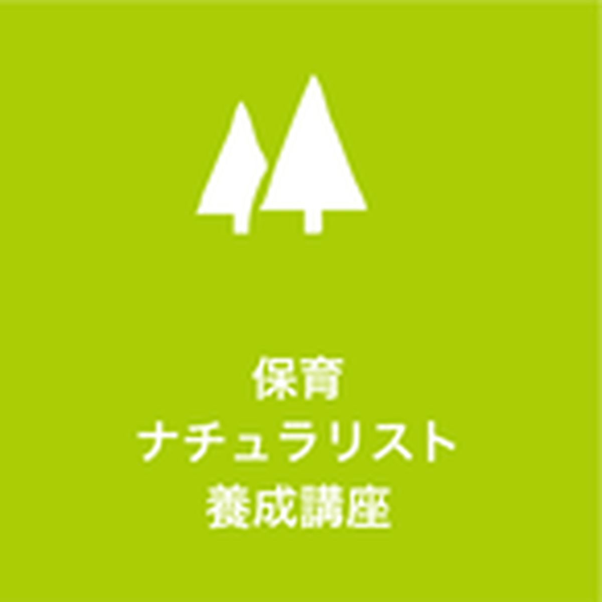 保育ナチュラリスト養成講座 芸術と遊びらぼ