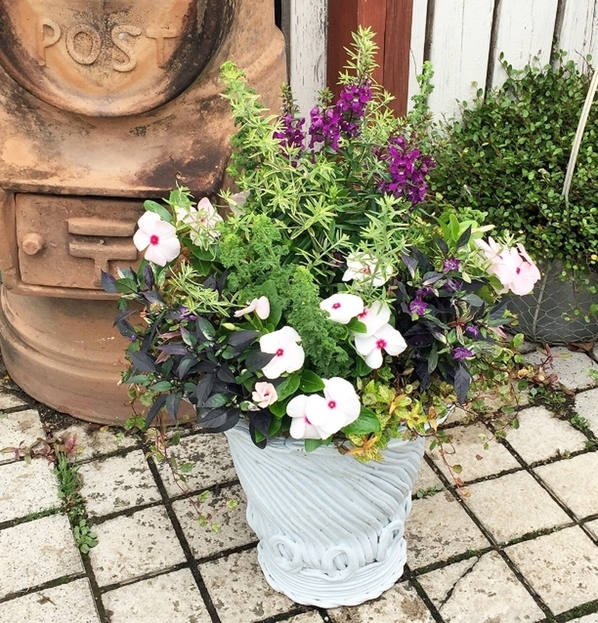 落ち着いた雰囲気の寄せ植え ハーブゼラニウムの香りとともに お花 観葉植物 多肉植物 寄せ植え専門店通販 Plante Plante プランテプランテ