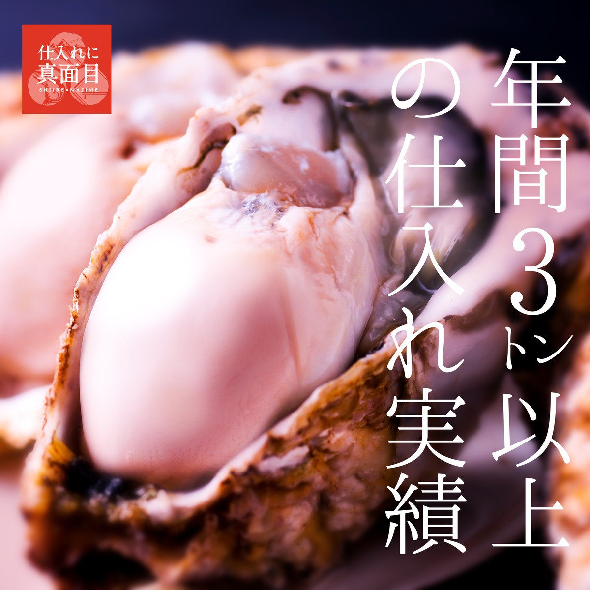 北海道産 牡蠣 個セット 仕入れに真面目 直売所