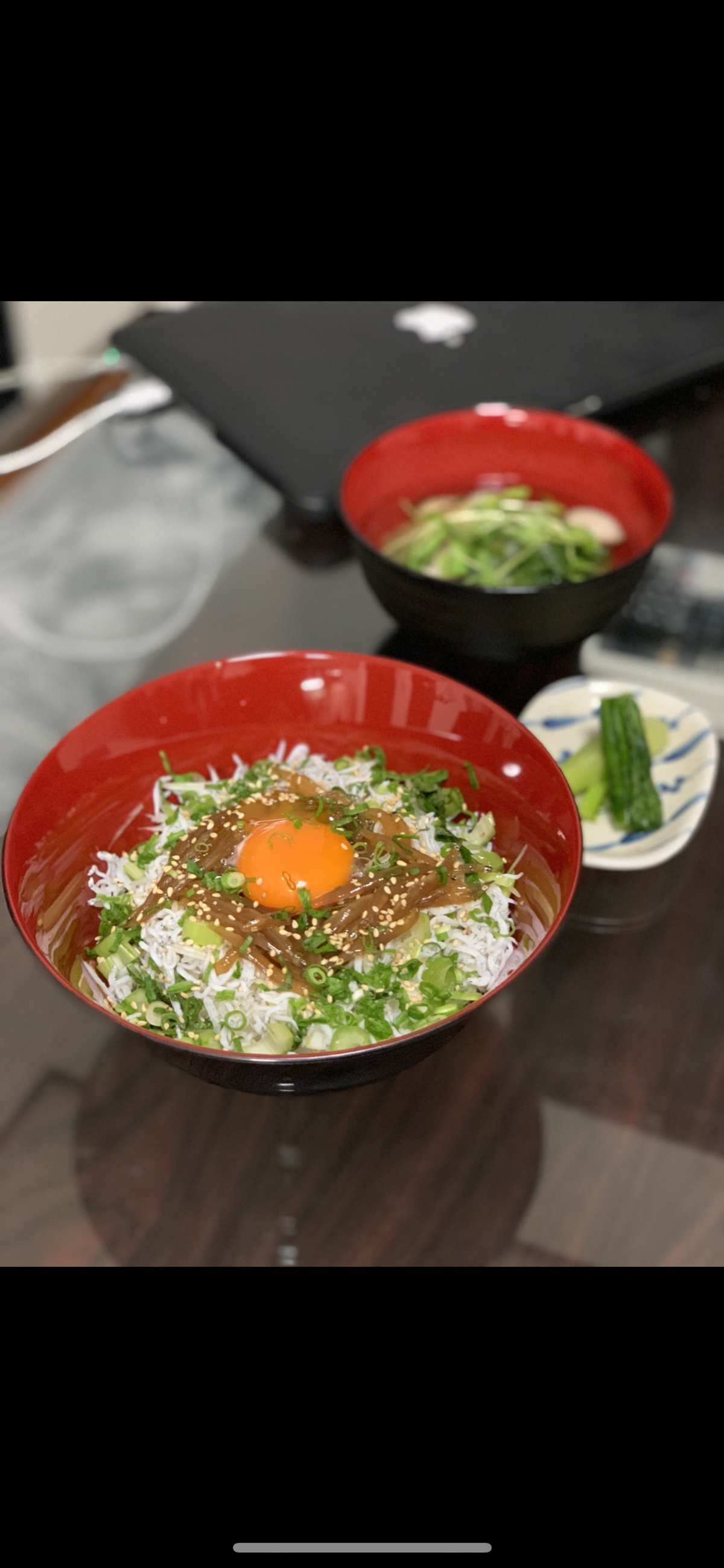 夢の三食丼 天日干しシラウオと釜揚げシラスの三色丼セット 飯岡ヤマイチ水産 大納屋