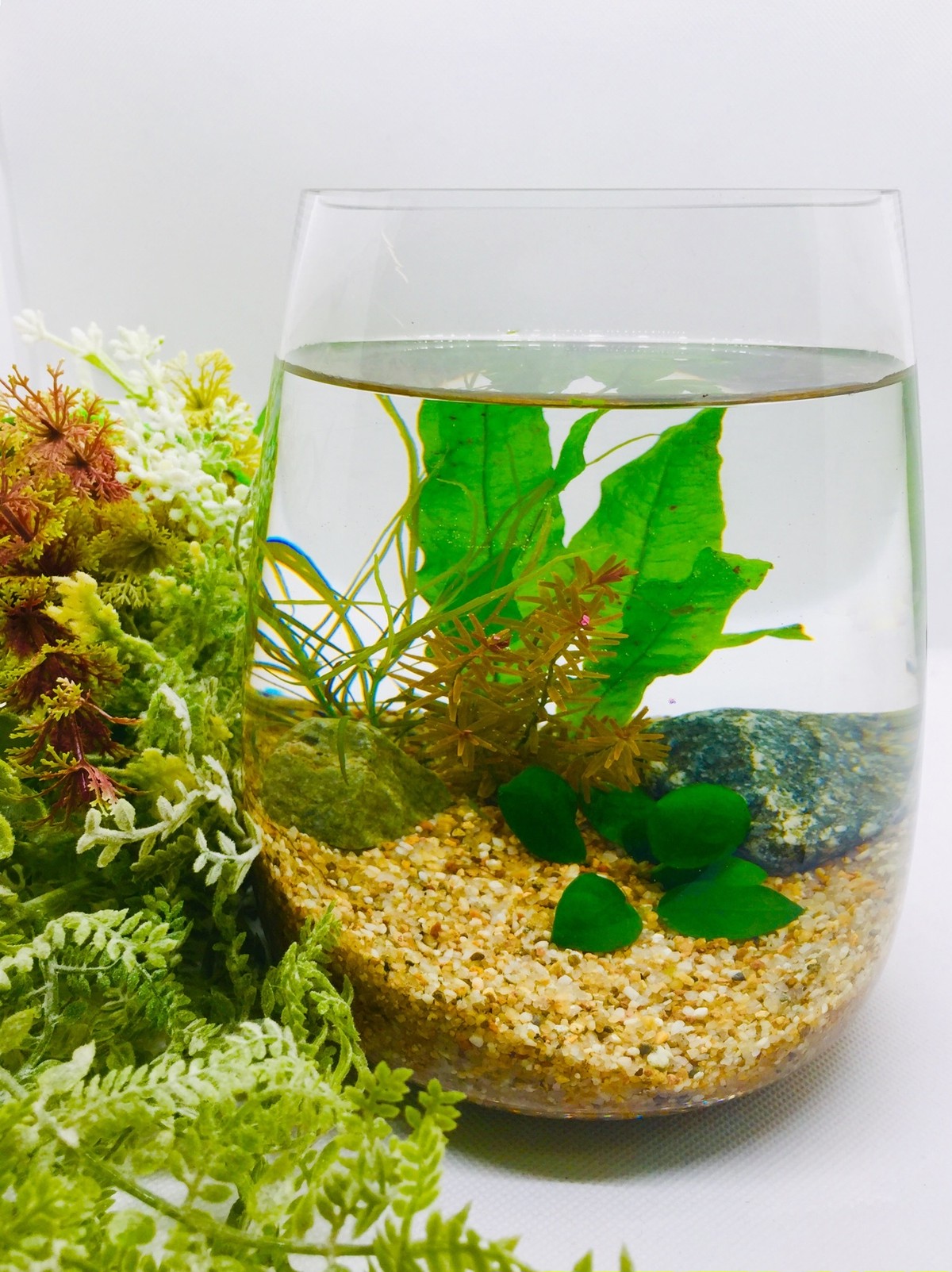 グラスアクアリウム L ボトルアクアリウム By A A C