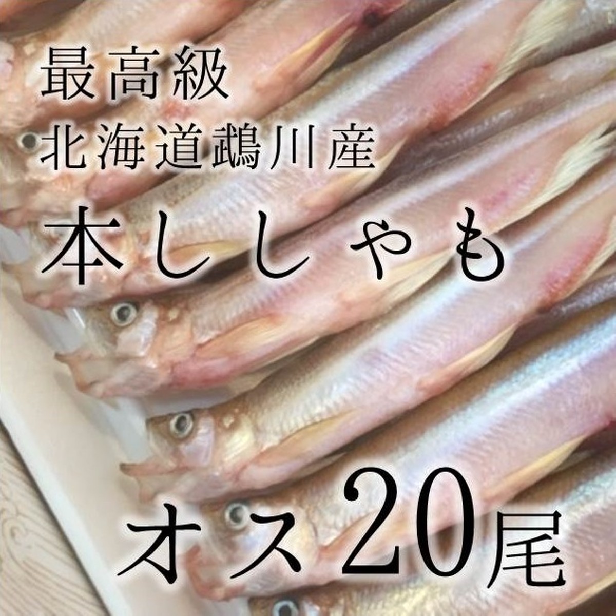 本ししゃも オス 特大尾 北海道産鵡川 広尾 等 本シシャモオス特大尾 冷凍 豊洲直送 Okawari 豊洲直送の高級海産物をお届け