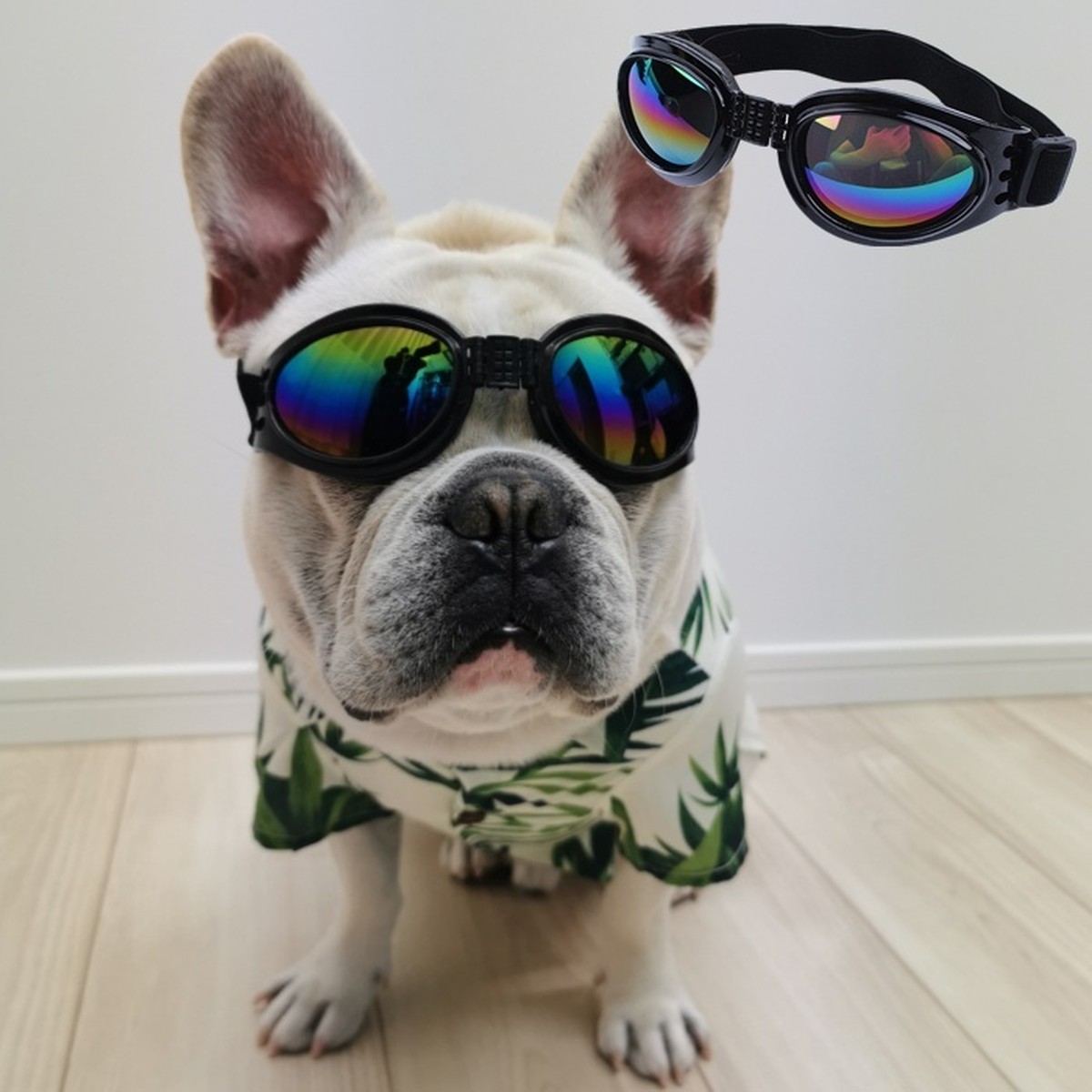 Km619gペット用 サングラス 調節可能 サングラス 黒 フレンチブルドック 犬ゴーグル 子犬uv保護 ゴーグル 小型犬 中型犬 大型犬インスタ映え おしゃれ かわいい サングラス 海 夏 Dearkm フレンチブルドック孔明