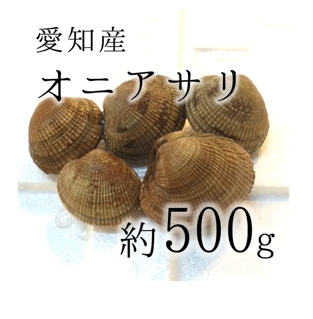 天然オニアサリ貝 活 愛知産他 鬼浅利 約500g 約10 15個 豊洲直送 希少性の高い貝 ピリッとした味わい オニアサリ500g 冷蔵 Okawari 豊洲直送の高級海産物をお届け