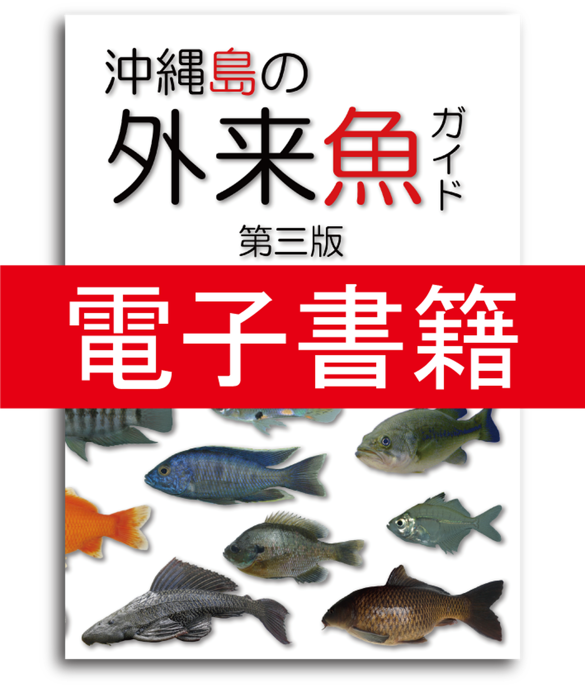 新版電子書籍 沖縄島の外来魚ガイド第三版 しまづ外来魚研究所オンラインショップ