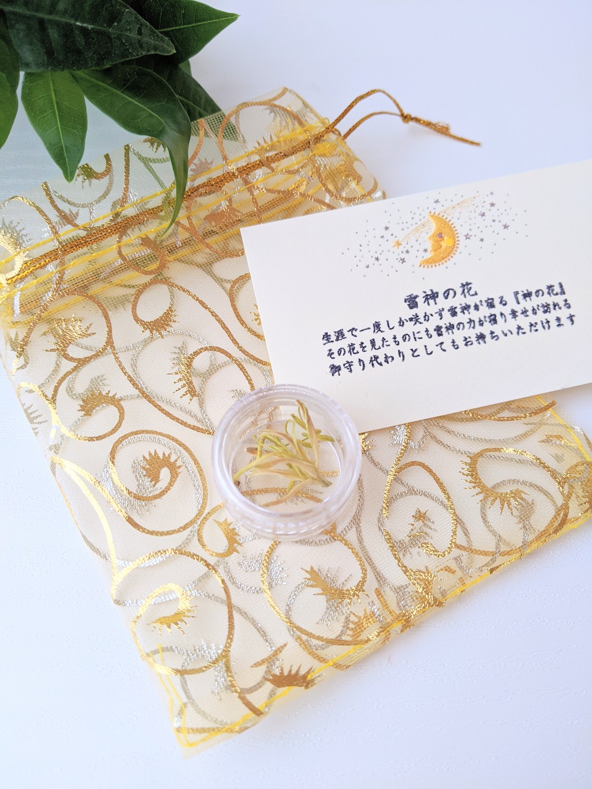 神の花 雷神の花 Kick Storeにて限定で皆さまに キック オフィシャルブログ 超超能力者への道 Powered By Ameba