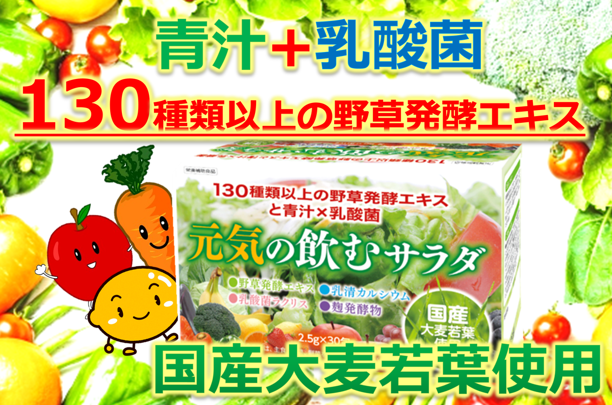 元気の飲むサラダ 乳酸菌が入ったおいしい青汁 つなぐすり