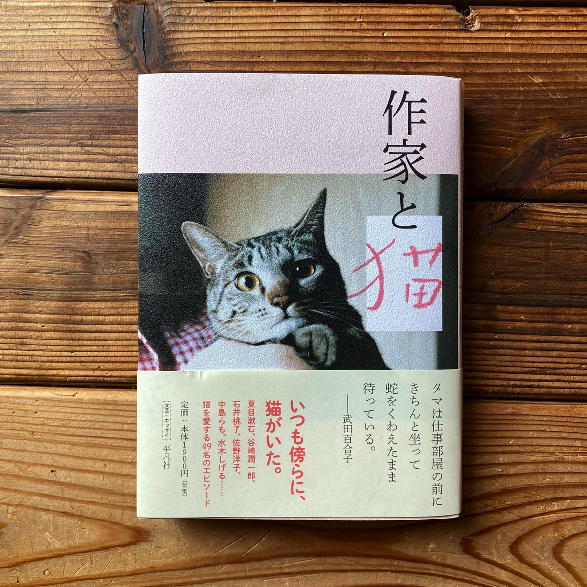 作家と猫 夏目漱石 谷崎潤一郎 石井桃子 佐野洋子 中島らも 水木しげる ほか 尾鷲市九鬼町 漁村の本屋 トンガ坂文庫