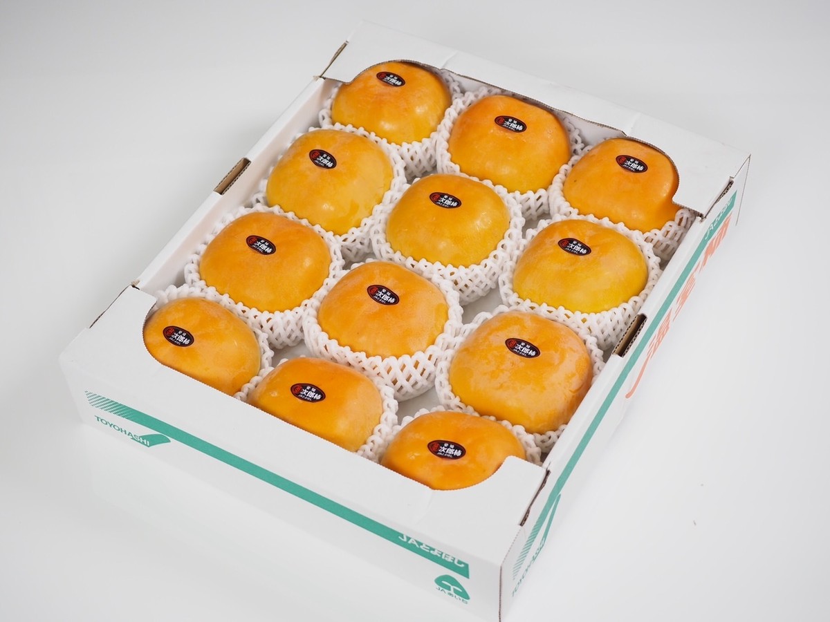 Jaとよはし 温室次郎柿 送料無料 甘柿 ハウス柿 愛知 とよはし 詰合せ 贈答用 ハヤシフルーツ公式オンラインストア