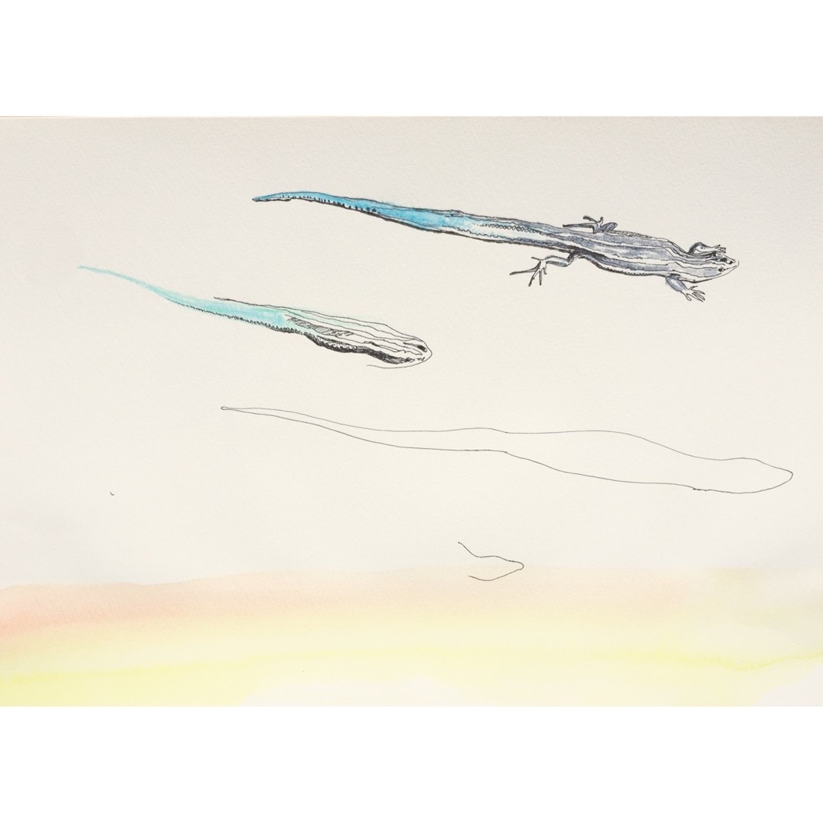 青いしっぽのトカゲ Sakiegawa Art