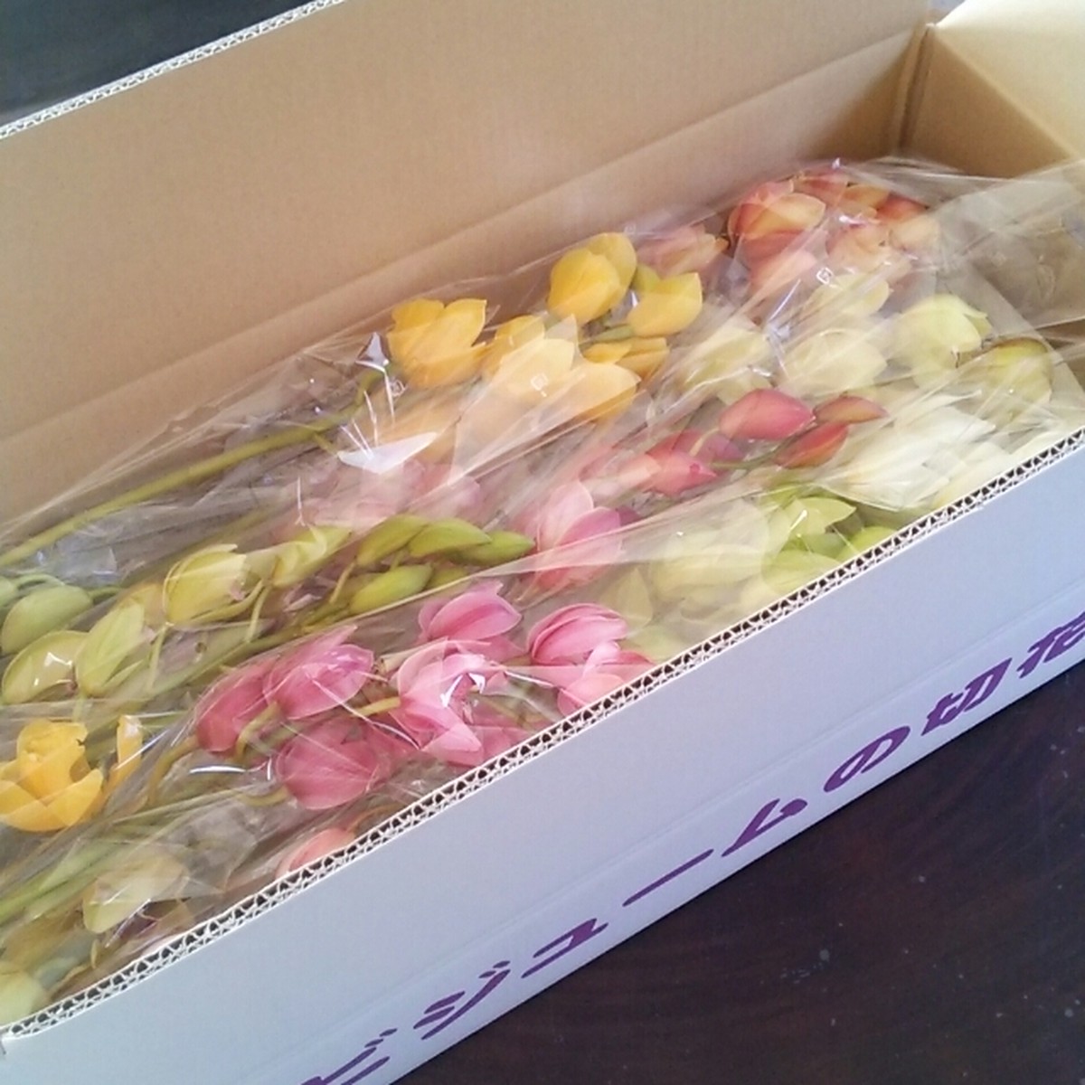 シンビジュームの切り花 Mix１箱 Hanazukin 花ずきん 農家直送の花苗 シンビジュームの花束