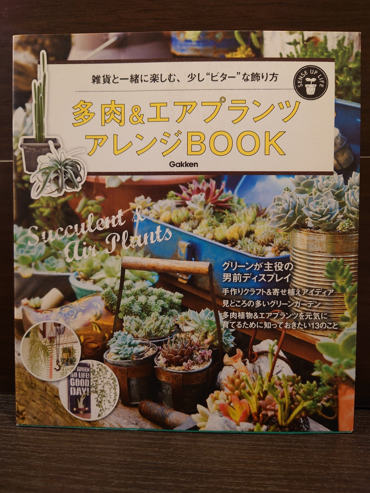 多肉 エアプランツ アレンジbook 弥生坂 緑の本棚