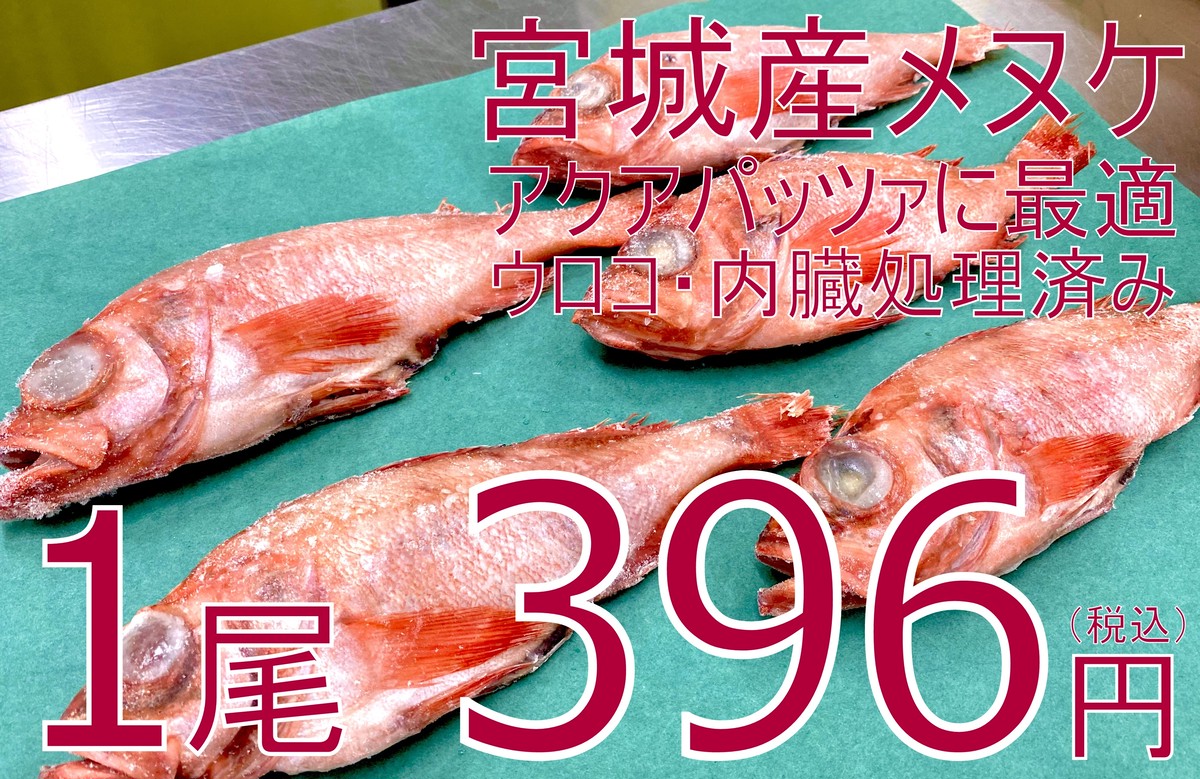 送料無料 0047 ご家庭用 宮城県産冷凍尾頭付メヌケ 赤魚 セミドレス 5尾入 ウロコ内臓処理済み 公式 羽田市場 漁師さん応援プロジェクト