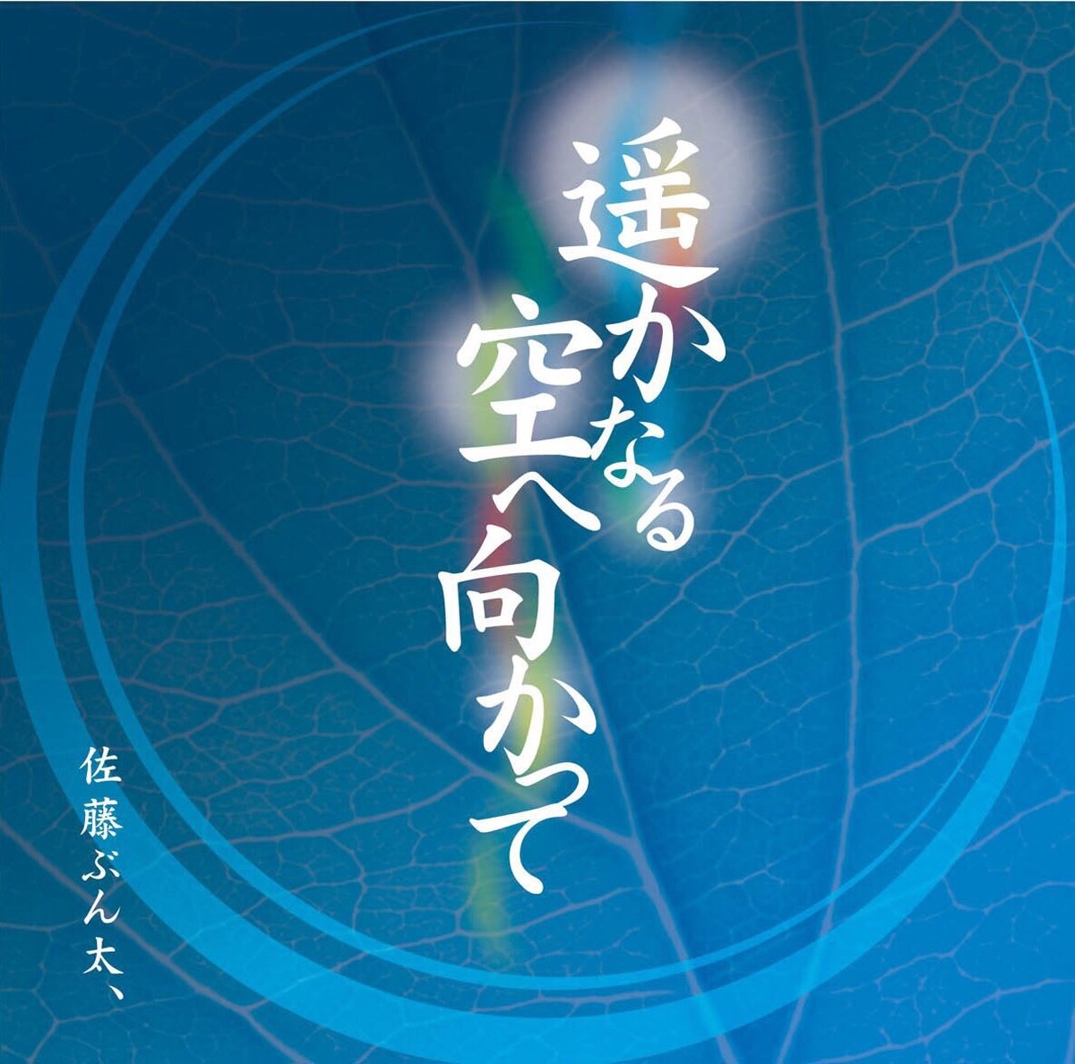 佐藤ぶん太 ｃｄ 遥かなる空へ向かって ぶん太商店