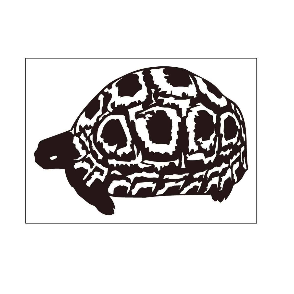 ステッカー ヒョウモンガメ Puikko