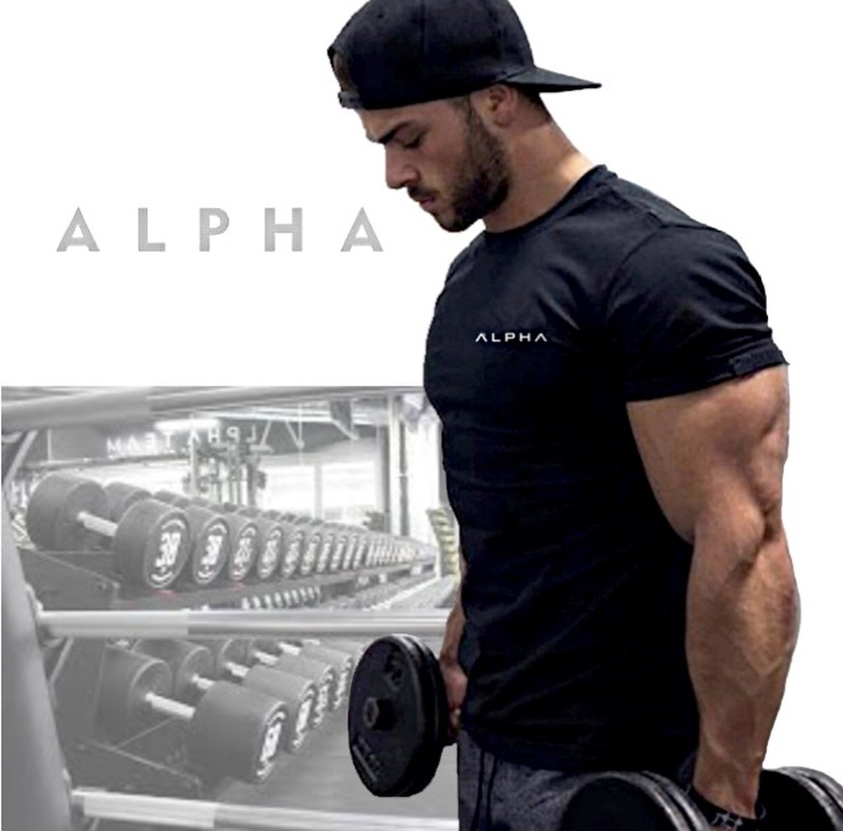 Gym Training Alpha Ii Tシャツ 筋トレ スポーツ ウェア メンズ Gym ゴールド ダンベル ジム トレーニング タンクトップ Mmmc