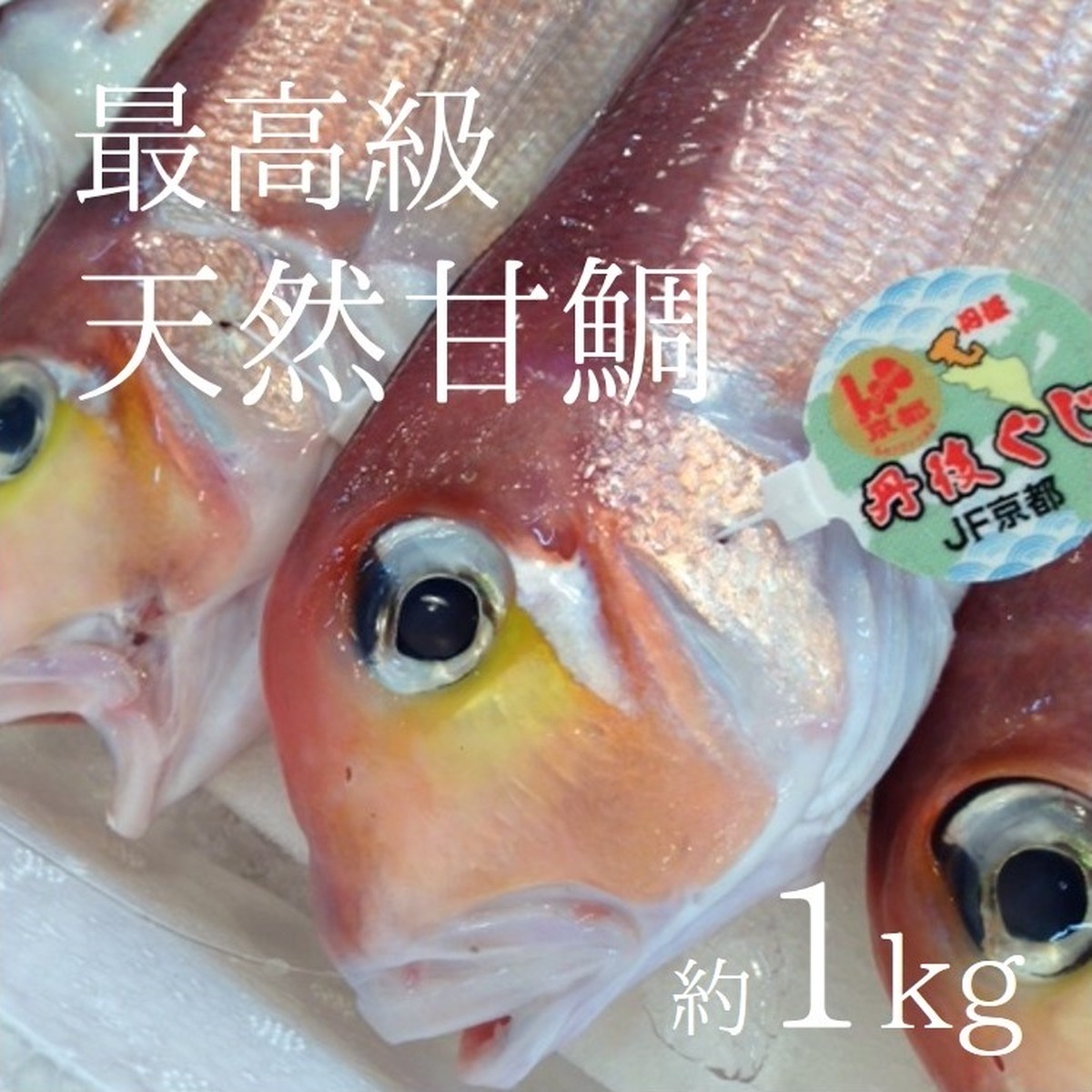 最高級アマダイ 甘鯛 生 超特大サイズ 豊洲直送 超特大約1kg前後 1尾あたり 日本海 太平洋産 京都 鳥取 山口 島根他 ぐじ ギフト 鮮魚 刺身 アマダイ１k 冷蔵 Okawari 豊洲直送の高級海産物をお届け