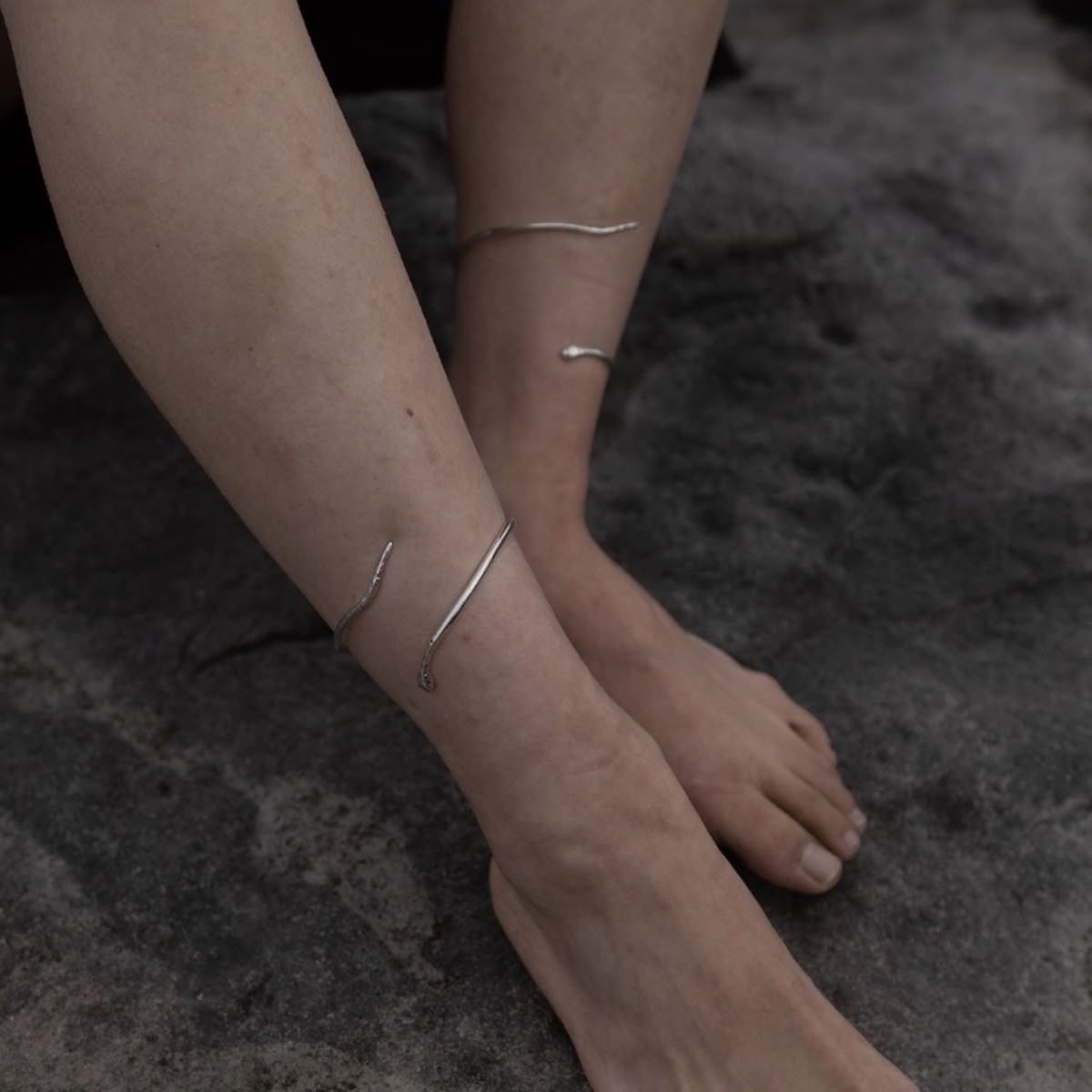 snake ankle