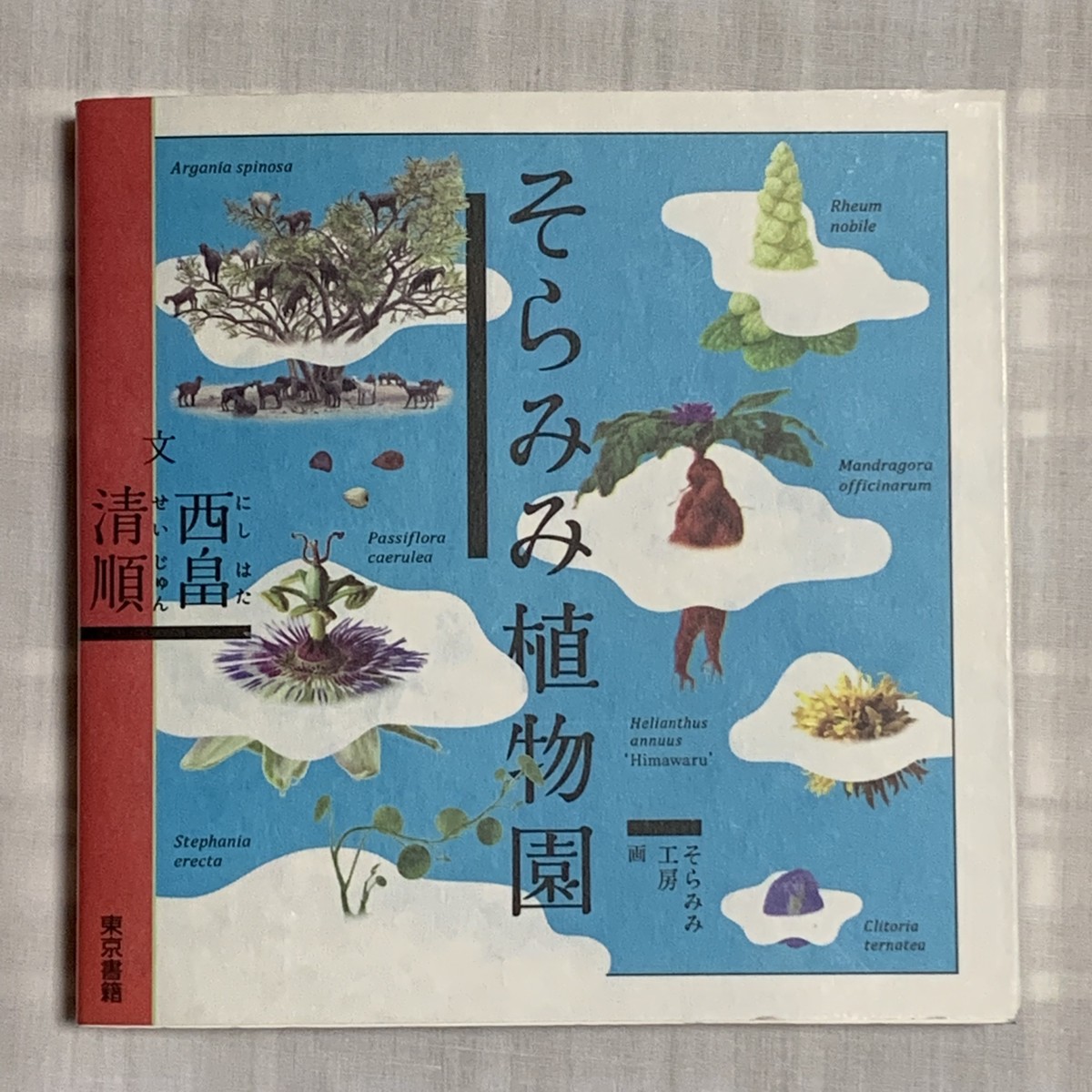 そらみみ植物園 ほんのみせ マドカラ