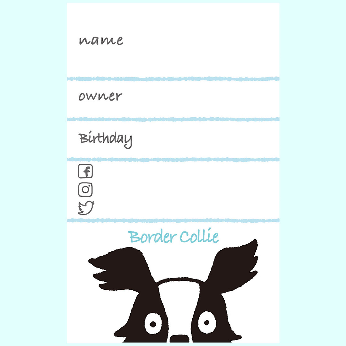 うちの子カード イヌ ボーダーコリー Piccoro ピッコロ